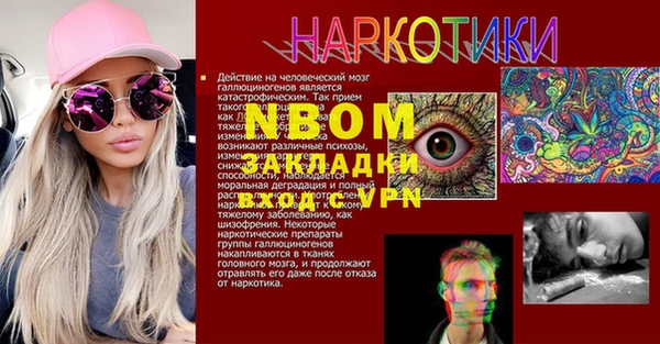 крисы Белокуриха