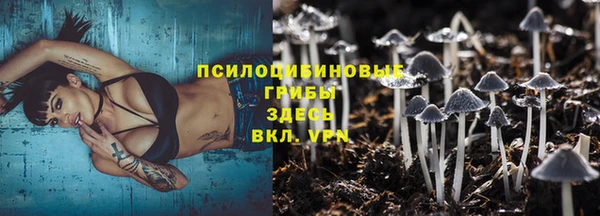 крисы Белокуриха