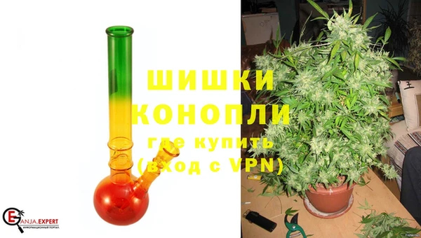 крисы Белокуриха