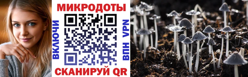 Псилоцибиновые грибы прущие грибы  Вяземский 